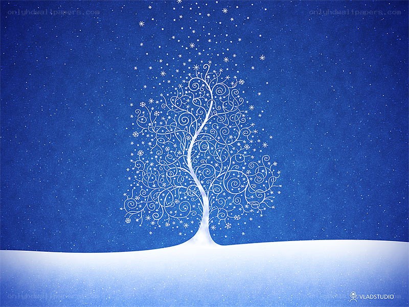 white tree in snowy night