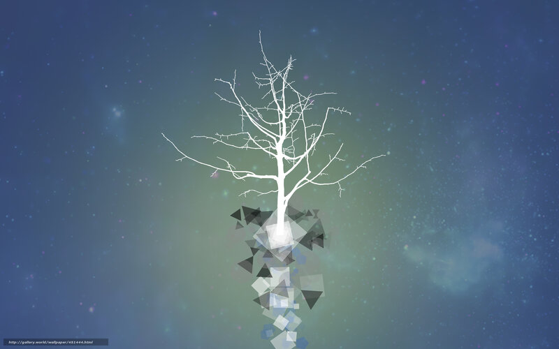 white tree in starry sky