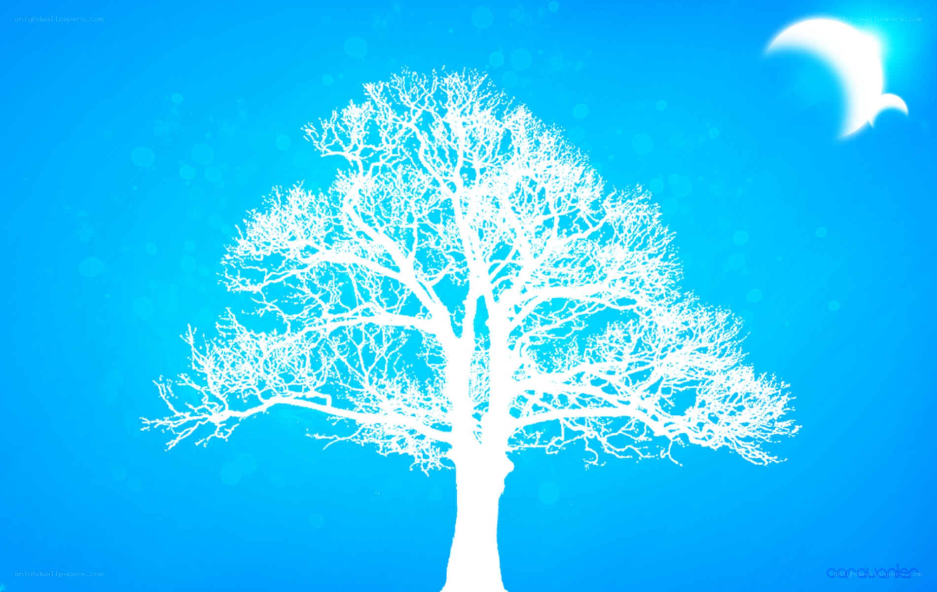 white tree silhouette on blue