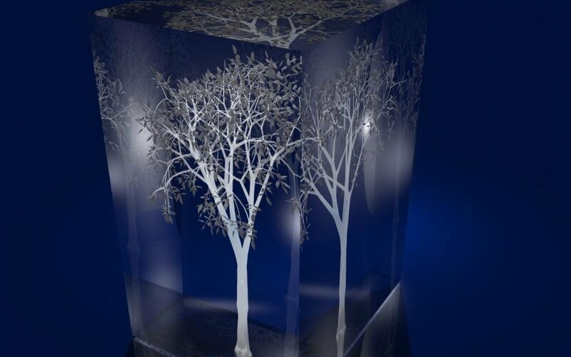 White Trees in Glass Case