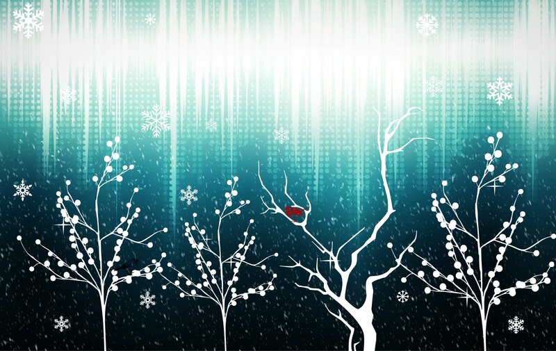 White Trees in Snow