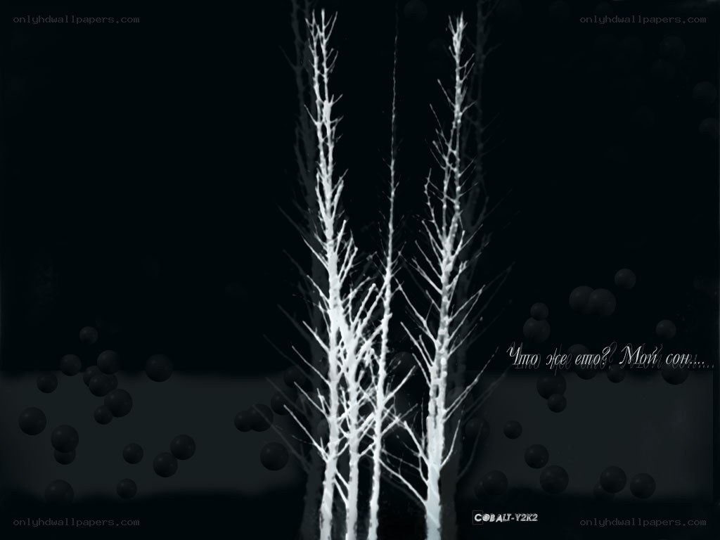 White Trees on Black Background