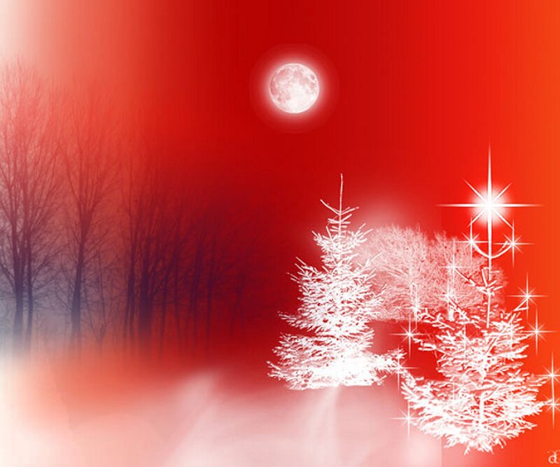 White Trees under Moon