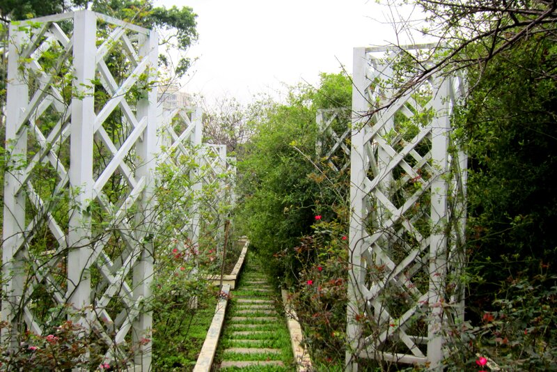 White Trellis Garden Path