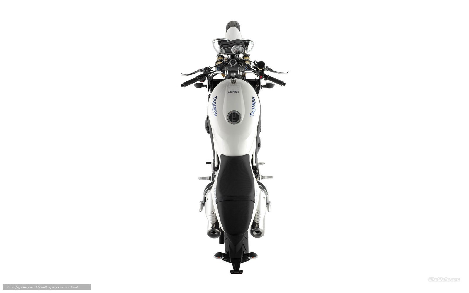 white triumph motorcycle