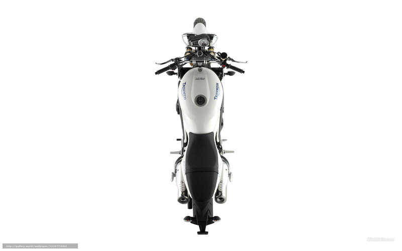 White Triumph Motorcycle — Neutral, Photograph, Fuel Tank
