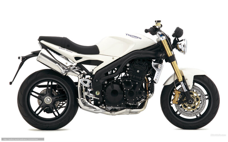 White Triumph Motorcycle — Neutral, Photograph, Seat