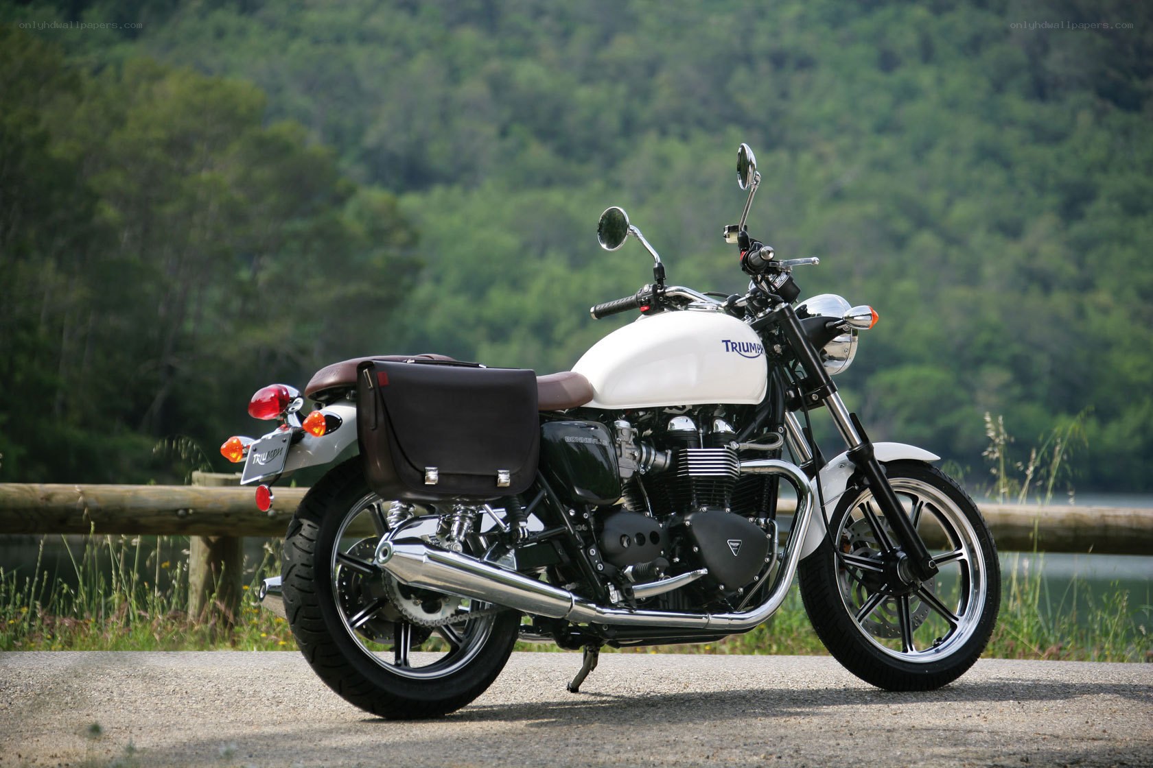 White Triumph motorcycle on road