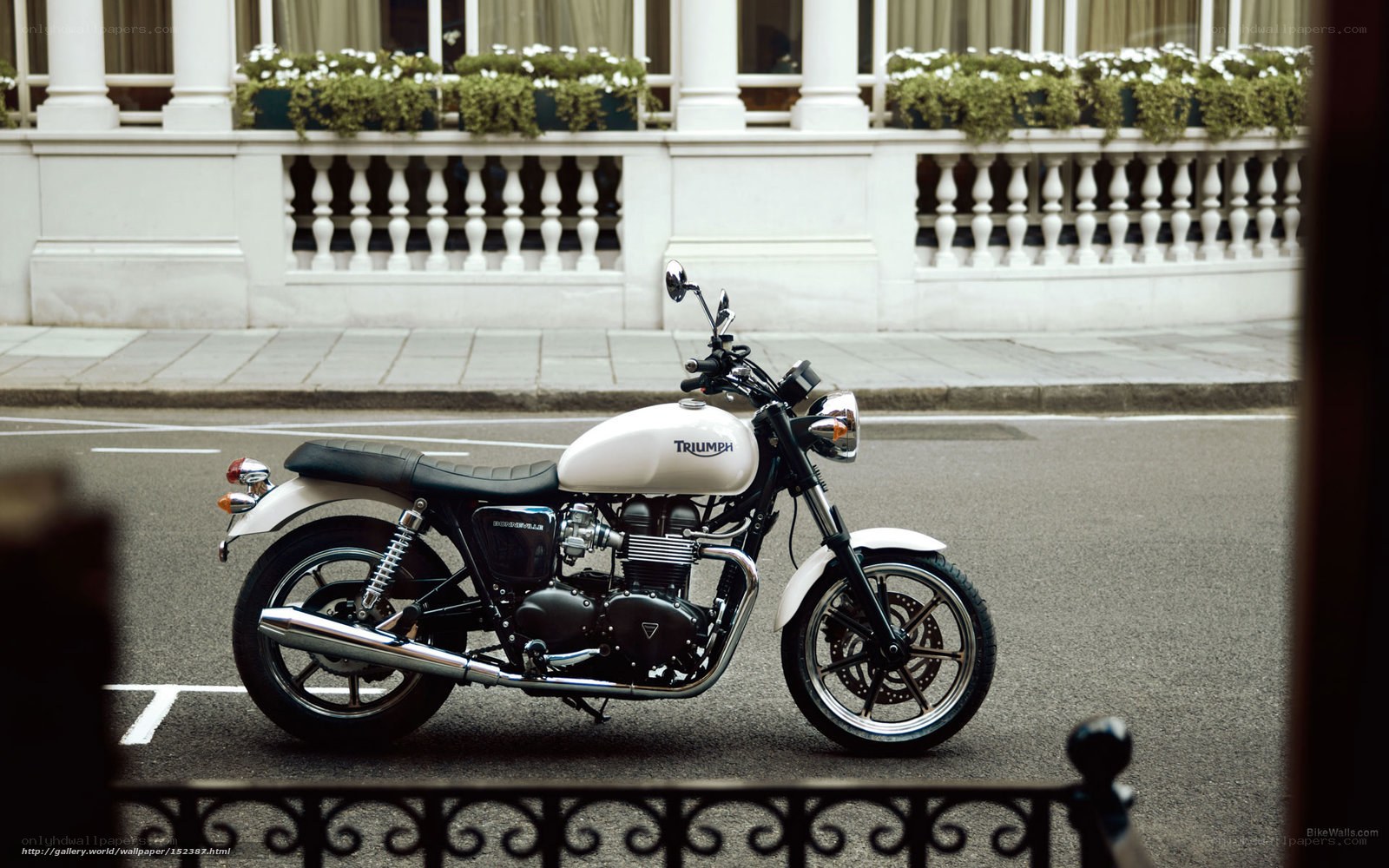 White Triumph motorcycle on street