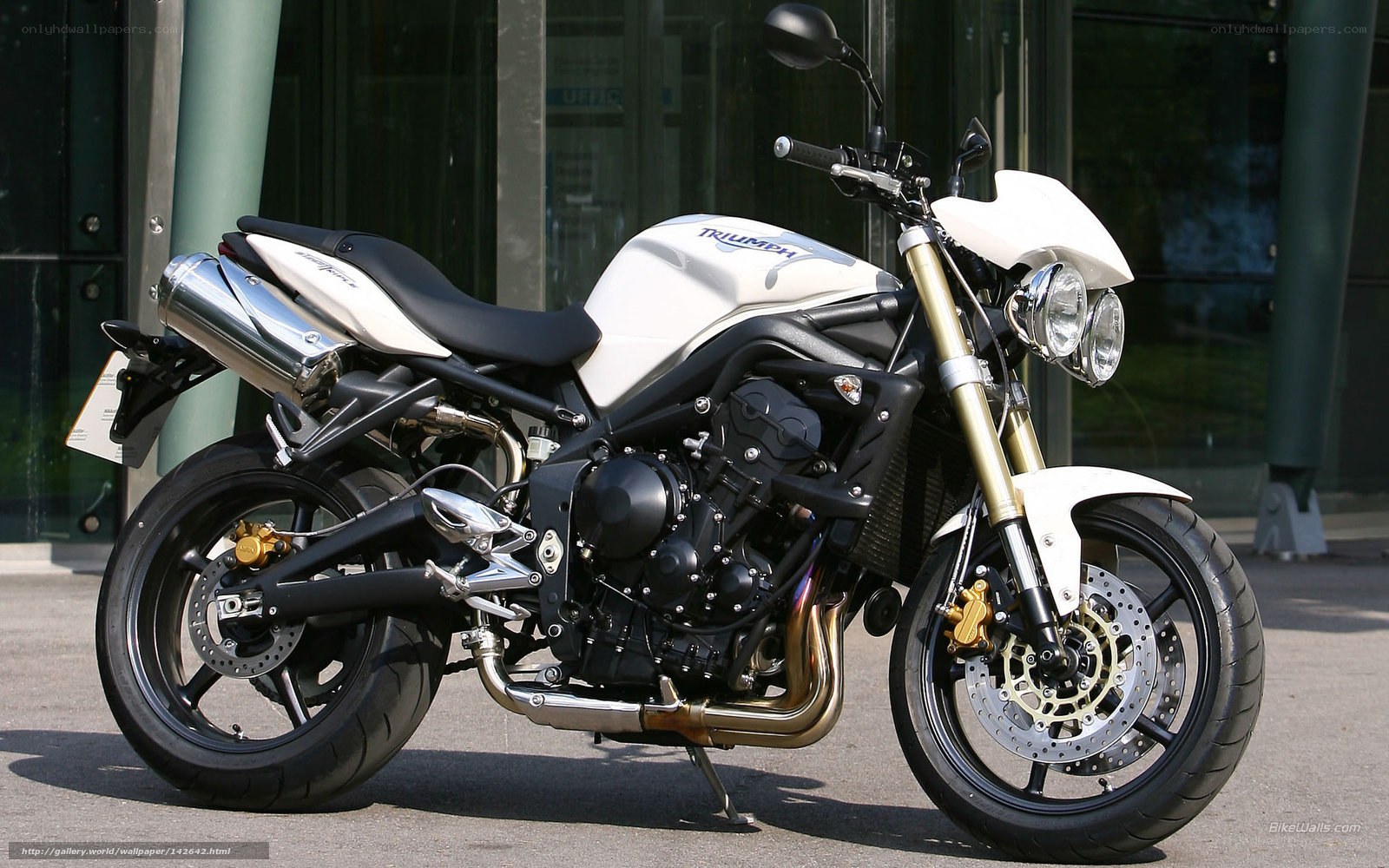 white triumph motorcycle