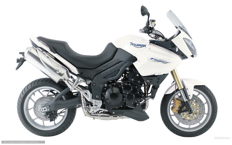 white triumph tiger motorcycle