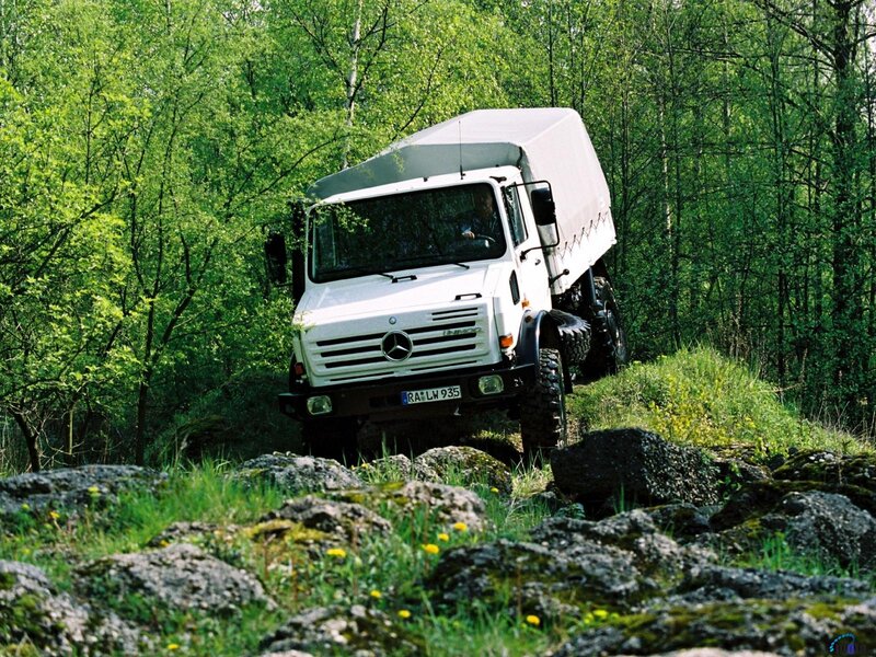 White Truck in Forest — Green
