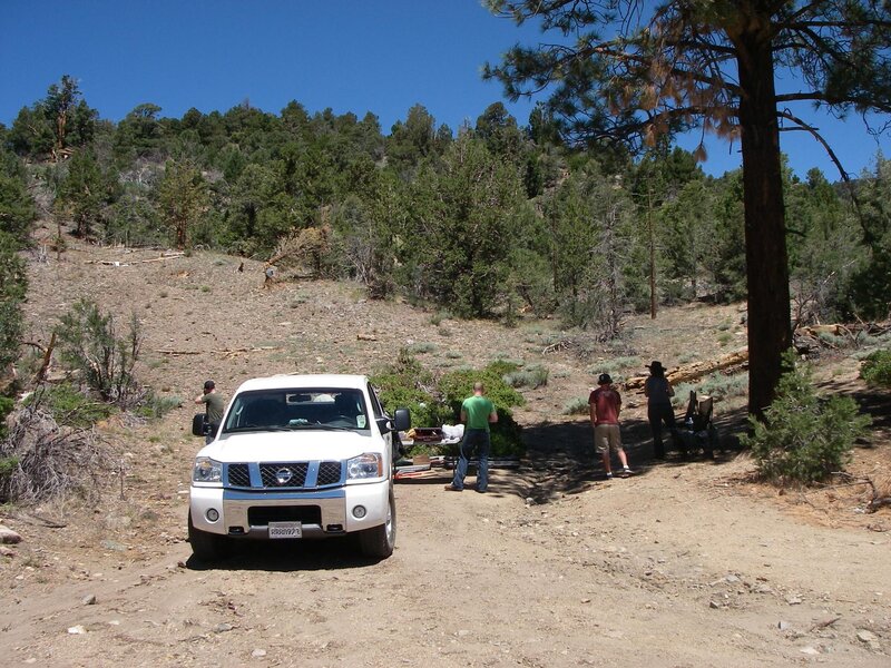 White Truck in Forest