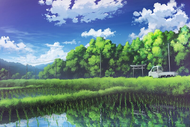 White Truck in Rice Paddy