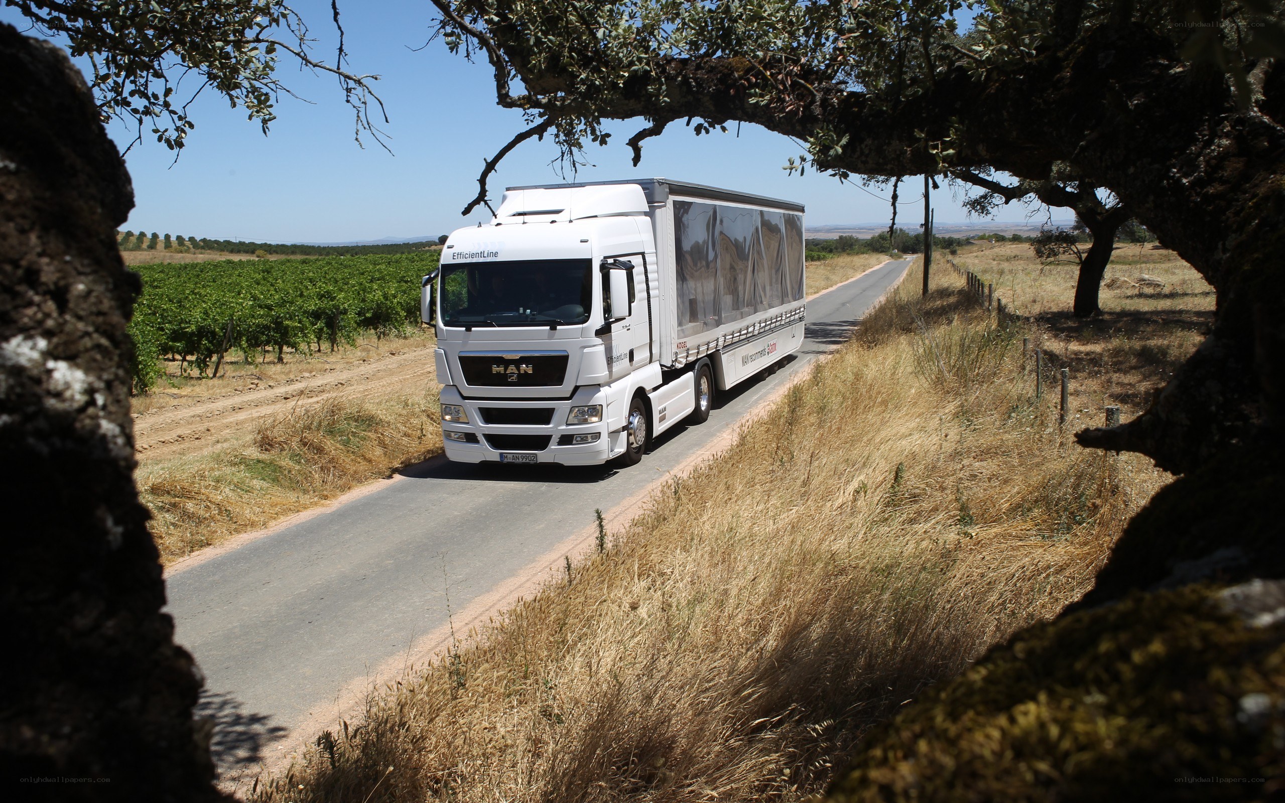 White truck on rural road
