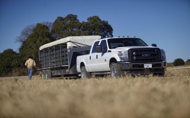 White truck pulling livestock trailer