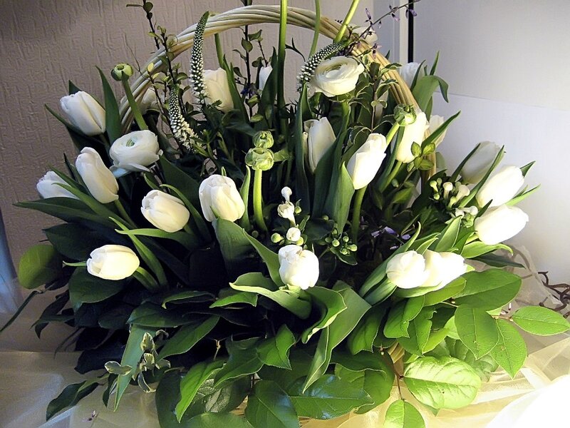 White Tulip Bouquet — Calm, Spring