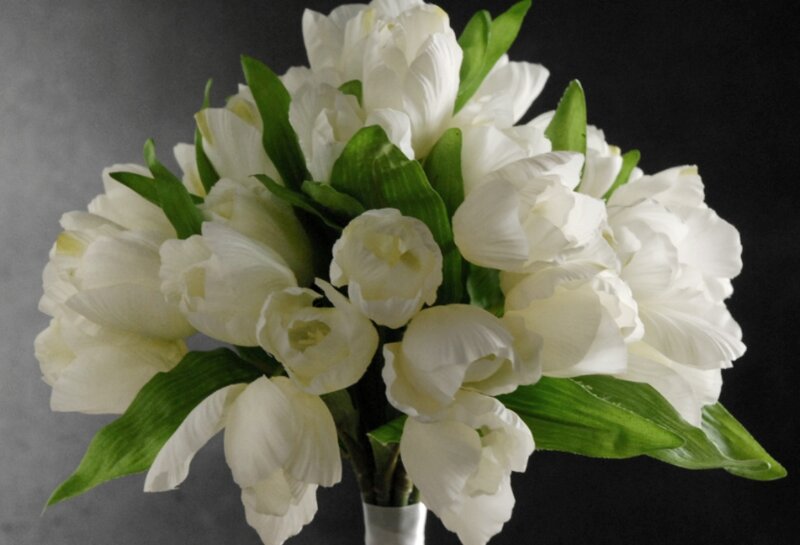 White Tulip Bouquet — Serene, Photograph, Green Leaves