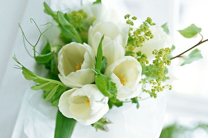 White Tulip Bouquet — Serene, Spring