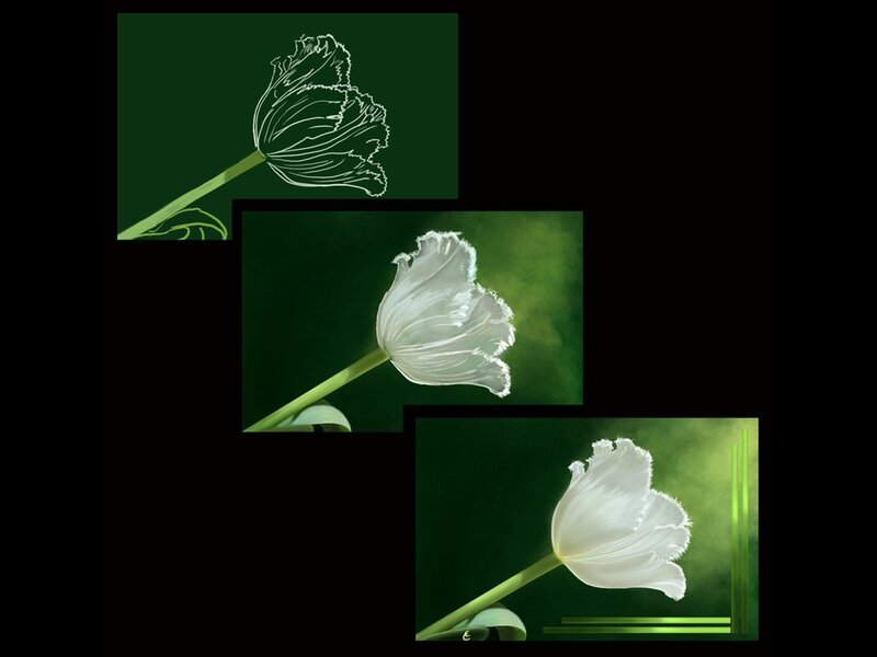 White Tulip Flower — Serene, Digital Art