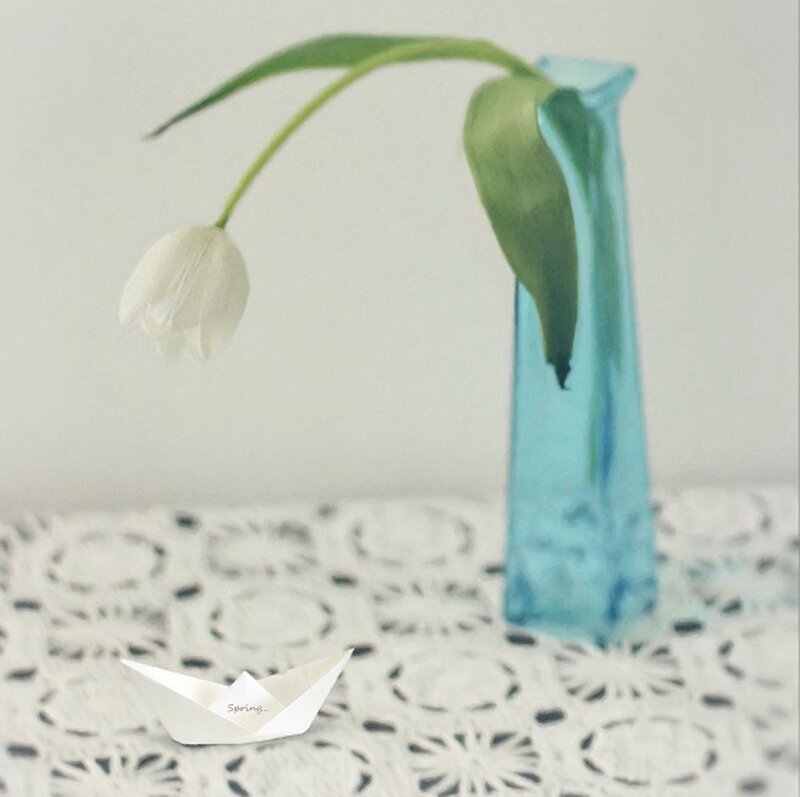 White Tulip in Vase — Blue