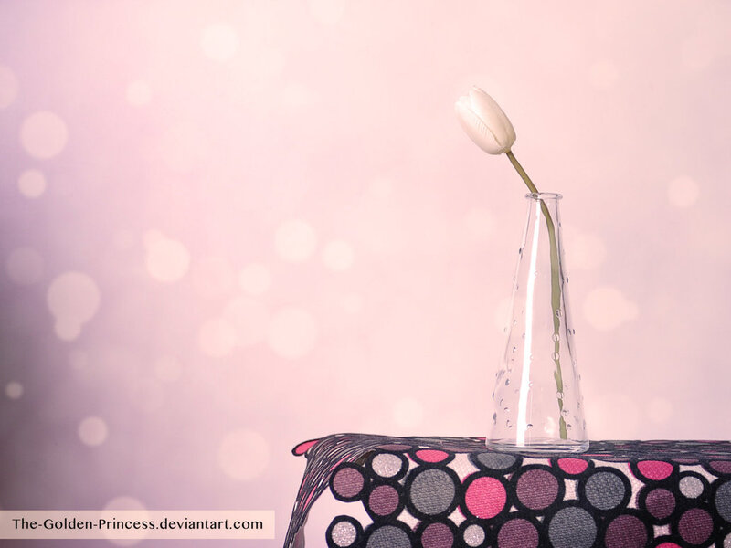 White Tulip in Vase — Pink