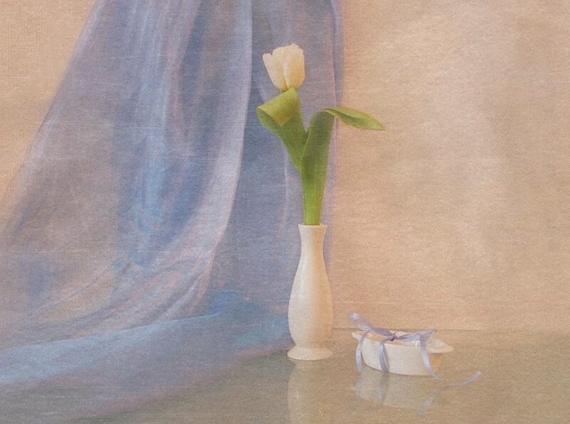 White Tulip in Vase