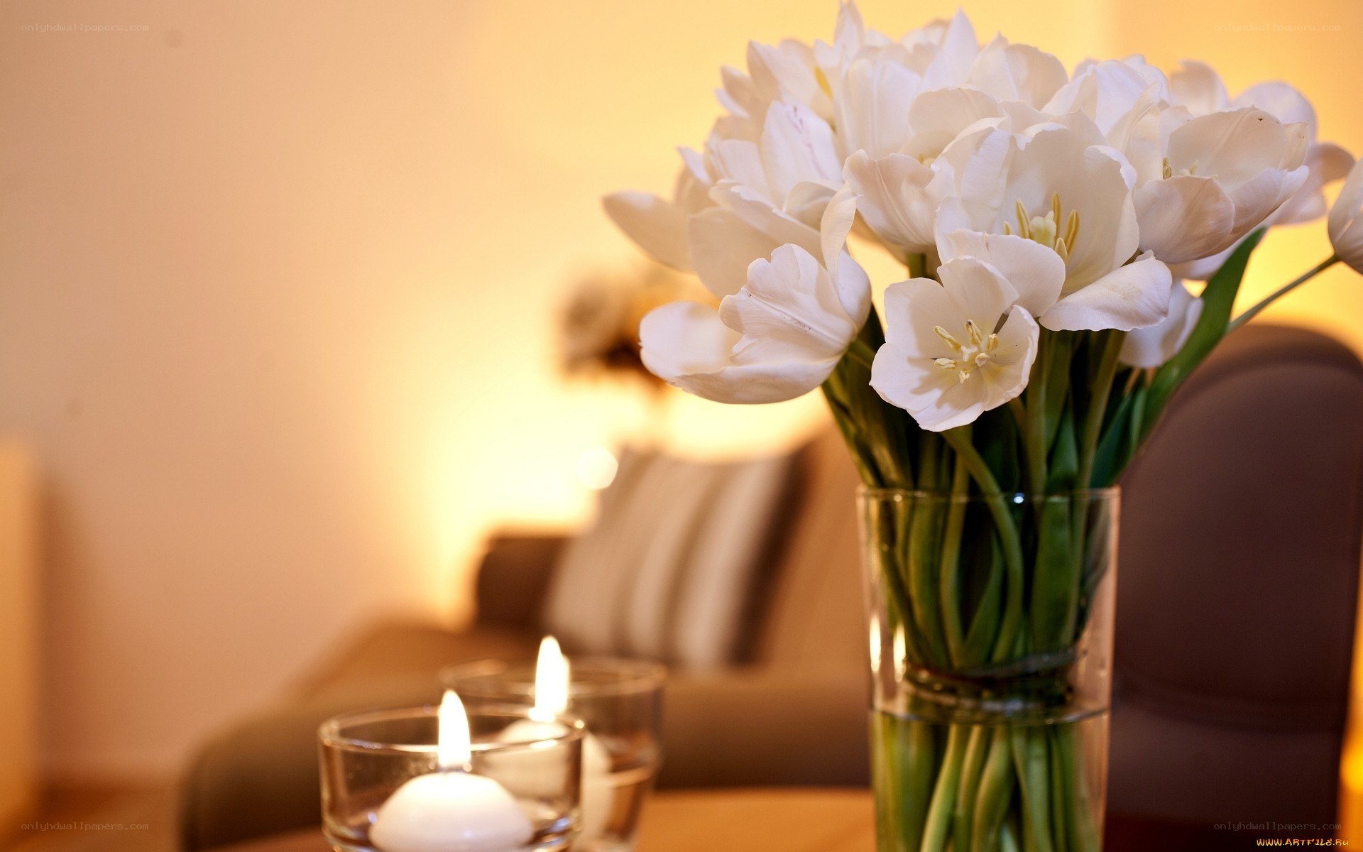 White tulips and candles