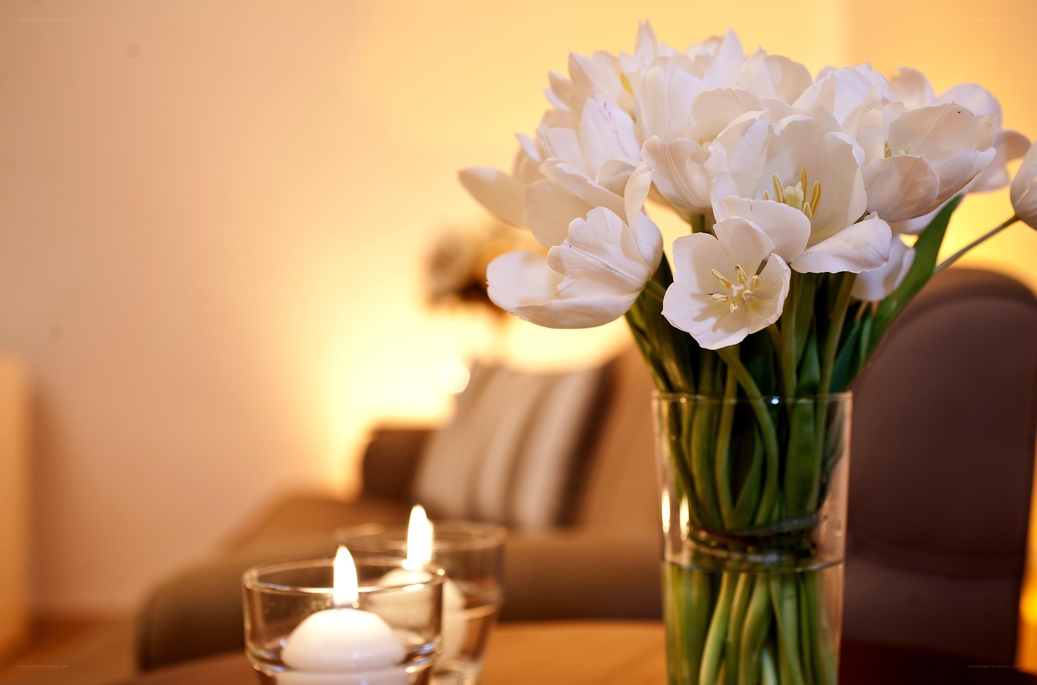 White tulips and candles