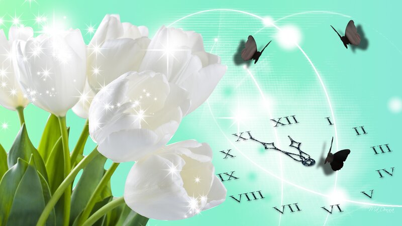 White Tulips and Clock
