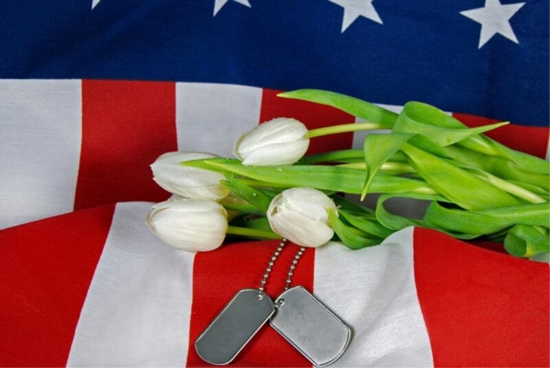 White Tulips and Dog Tags