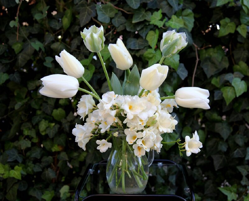 White Tulips and Freesias — Serene