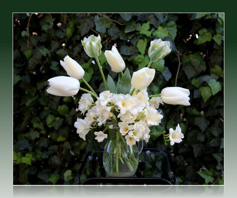 White Tulips and Freesias