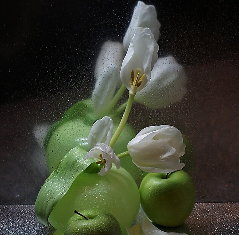 White Tulips and Green Apples — Dramatic