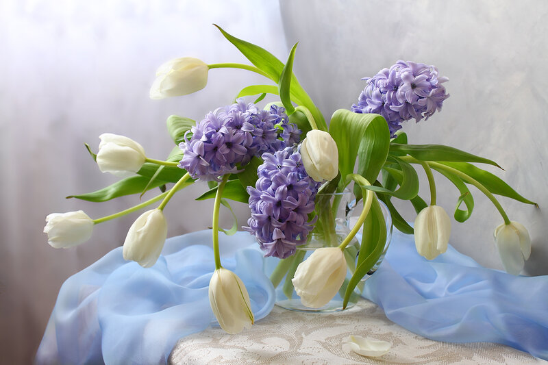 White Tulips and Hyacinths — Purple