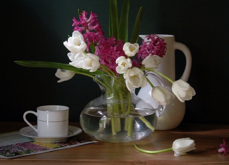 White Tulips and Hyacinths — Serene, Photograph