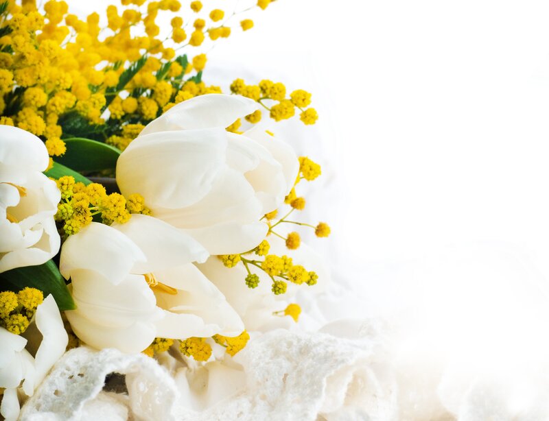 White Tulips and Mimosa — Serene