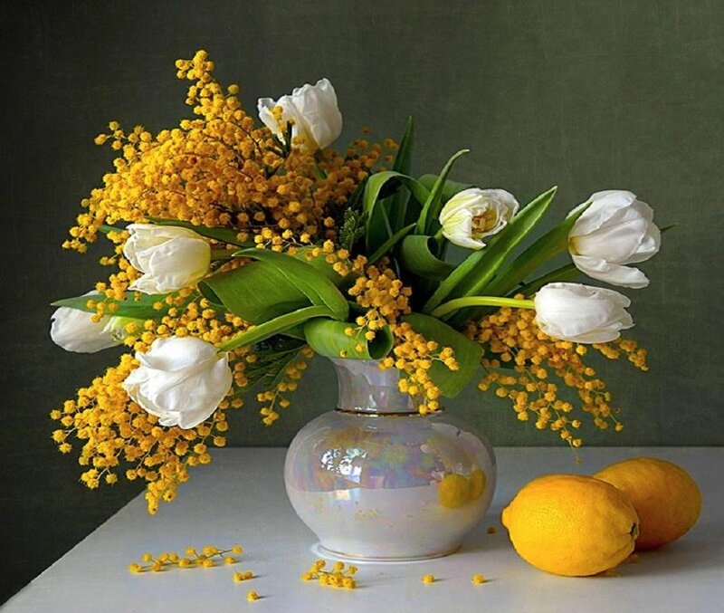 White Tulips and Mimosa