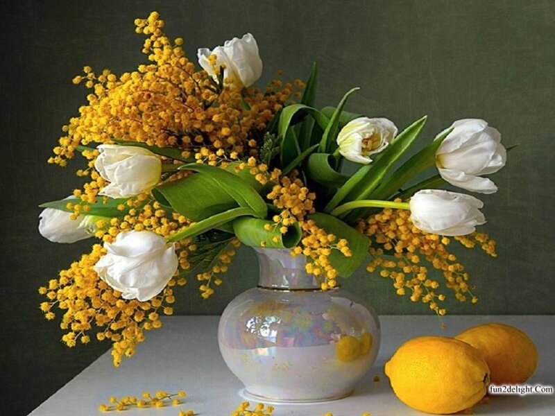 White Tulips and Mimosa — Yellow, Calm