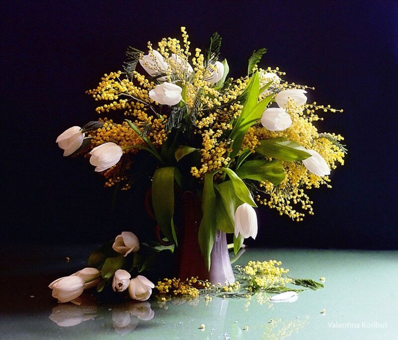 White Tulips and Mimosa — Yellow, Serene
