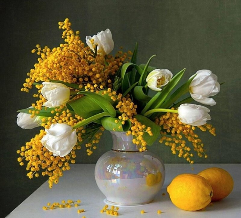 White Tulips and Mimosa — Yellow