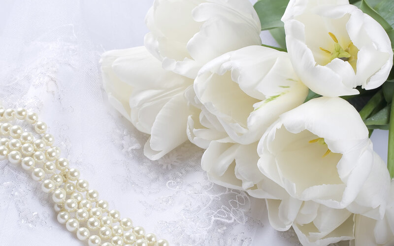 White Tulips and Pearls — Serene