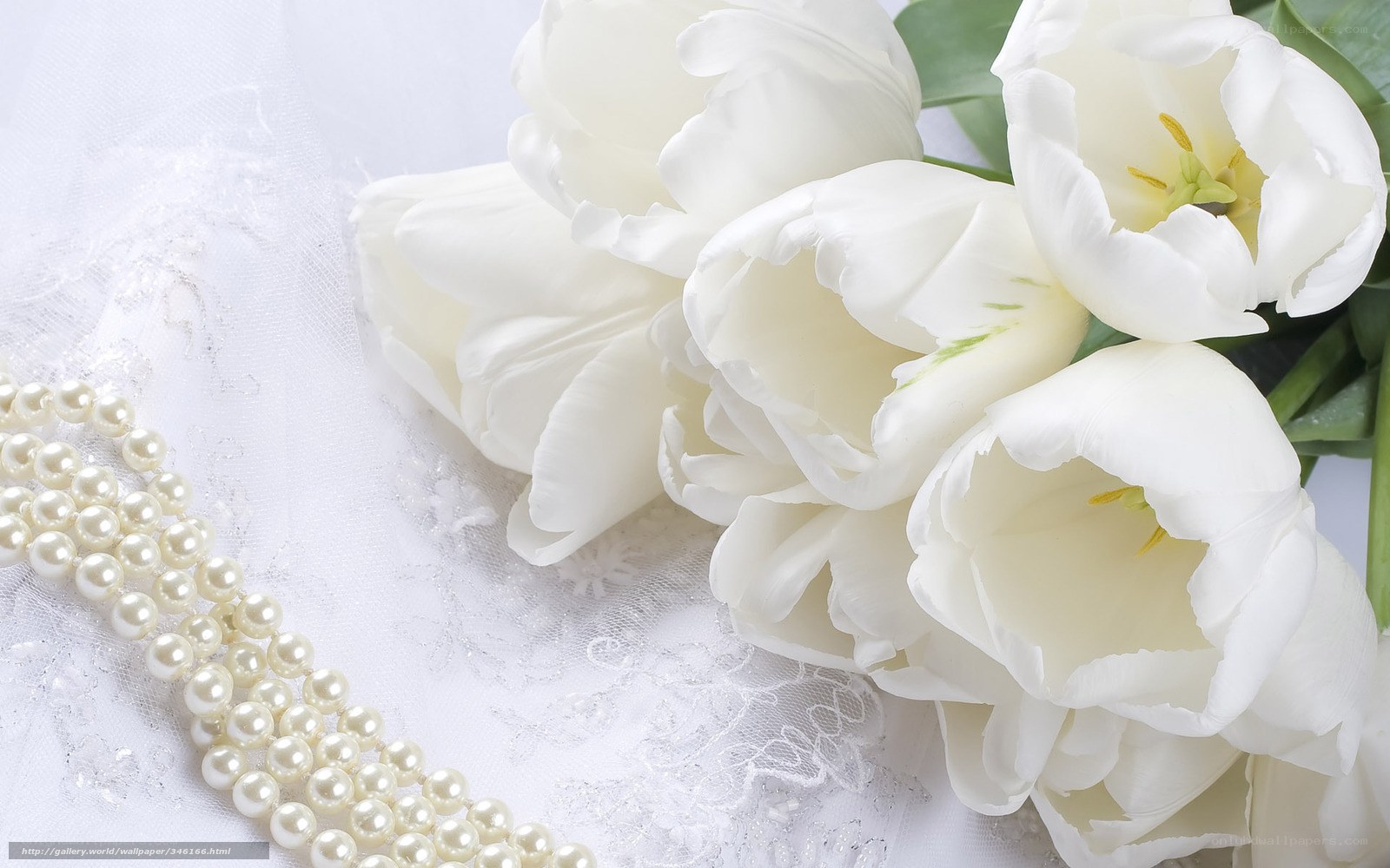 White tulips and pearls