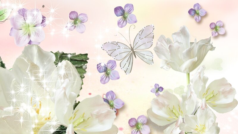 White Tulips and Purple Violets — Serene