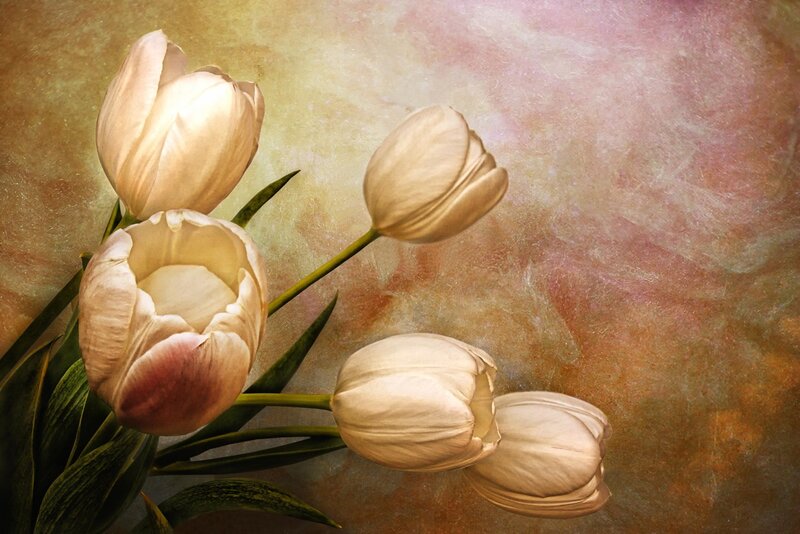 White Tulips Bouquet — Beige