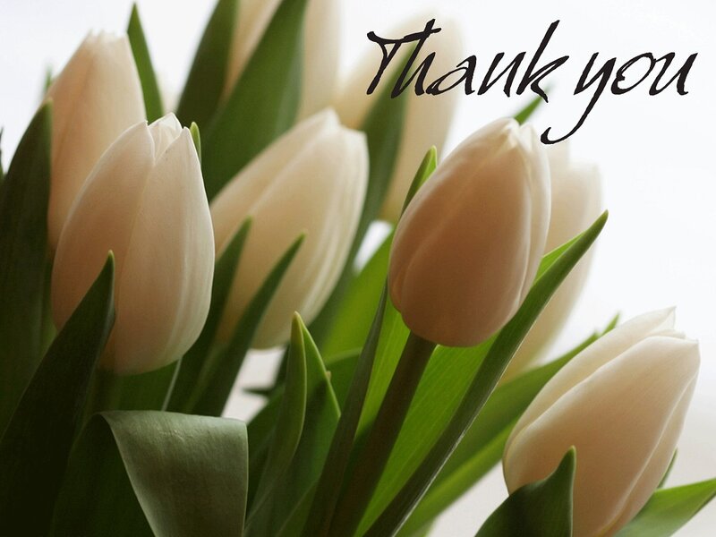 White Tulips Bouquet — Calm, Photograph, Green Leaves, Text