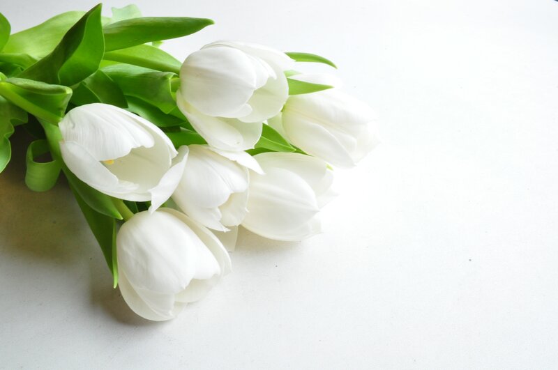 White Tulips Bouquet — Calm, Photograph, Green Leaves, White Surface