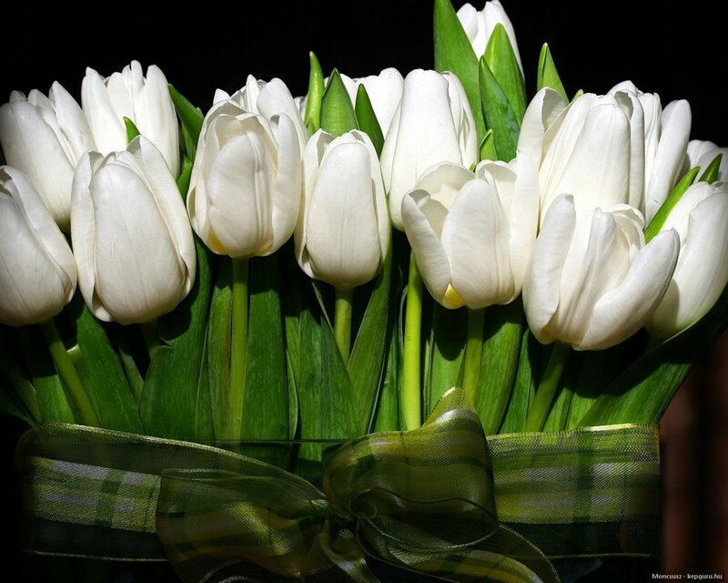 White Tulips Bouquet — Dramatic, Photograph