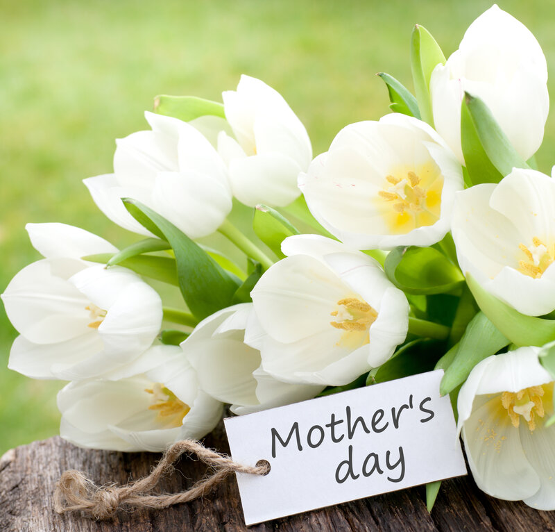 White Tulips Bouquet — Serene, Spring, Photograph, Tag
