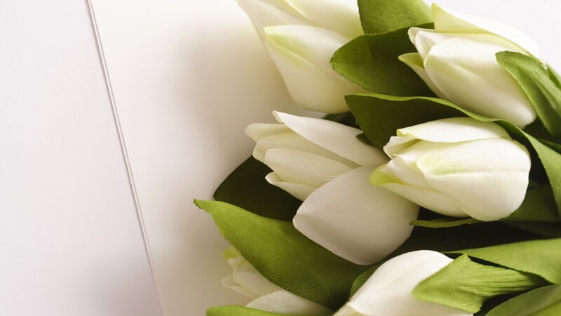 white tulips bouquet